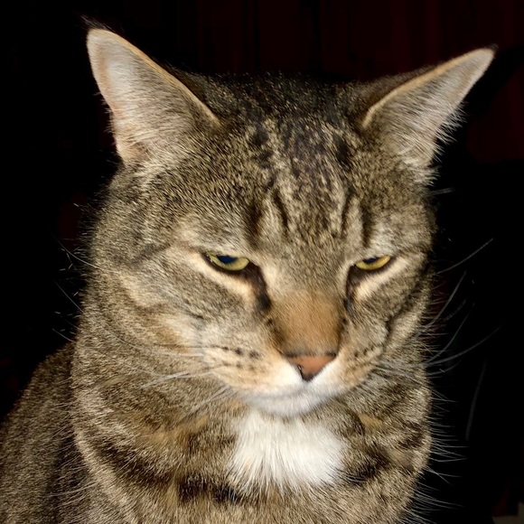 Meet your Posher, Kimberly - Picture 3 of 3